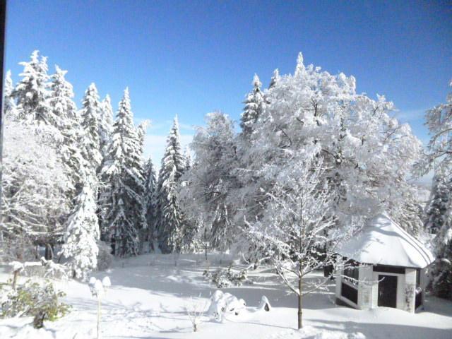 Pension Haus Am Waldesrand Oberhof  Exteriör bild